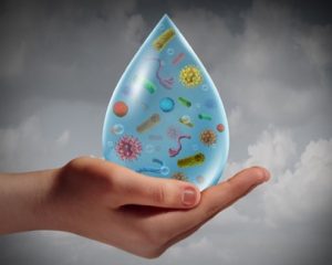 Depicts a hand holding a droplet of water filled with various microorganisms, symbolizing water contamination.