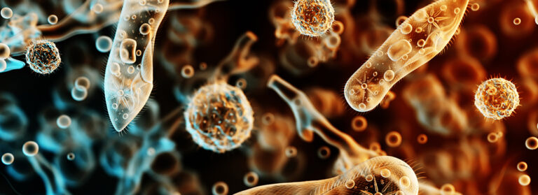 Depicting various microorganisms in color, likely protozoa or bacteria, as seen under a microscope