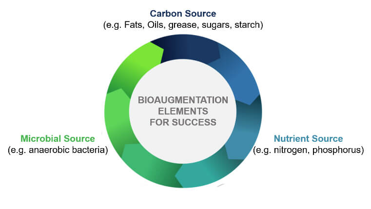GC_Bioaumentation_Elements_success_inforgraphic