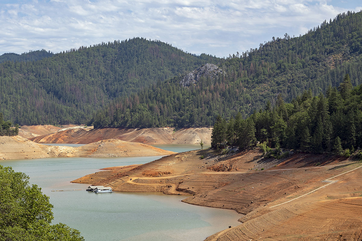 The Global Impact of Drought Conditions on Business