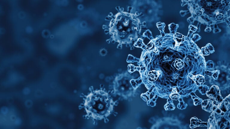 3D microscopic view of blue virus cells with spike proteins on a dark blue background.